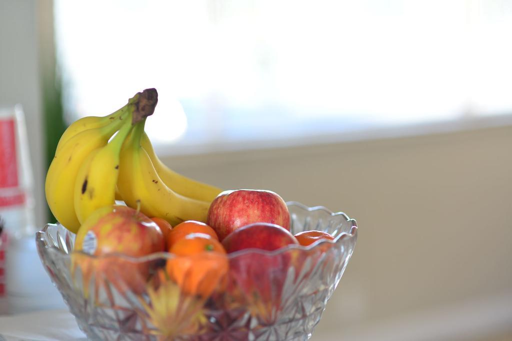 Regency Inn & Suites Sarasota Ngoại thất bức ảnh